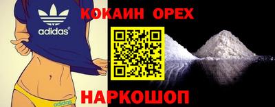 гашик Кинель
