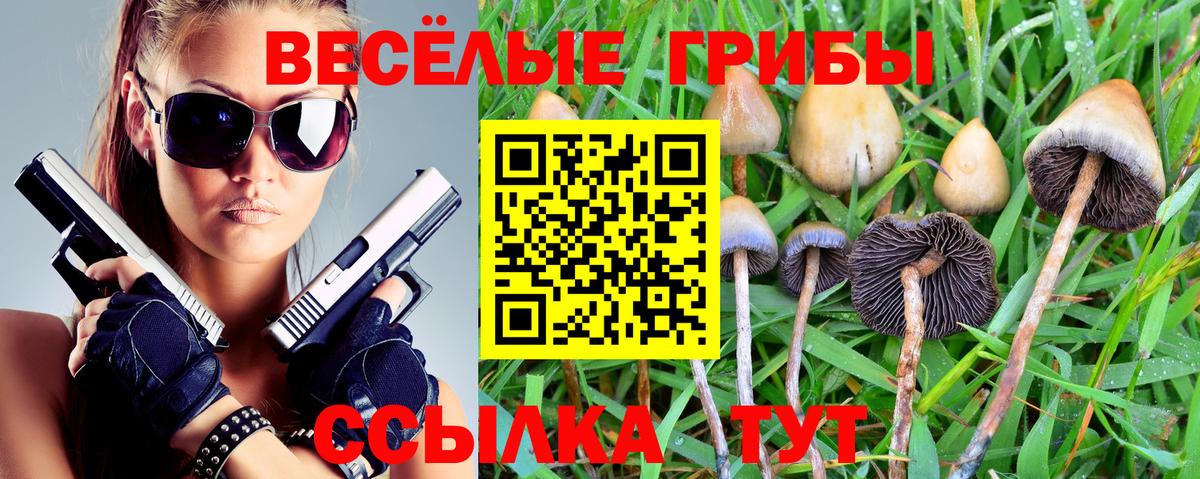 Псилоцибиновые грибы Psilocybine cubensis Кропоткин
