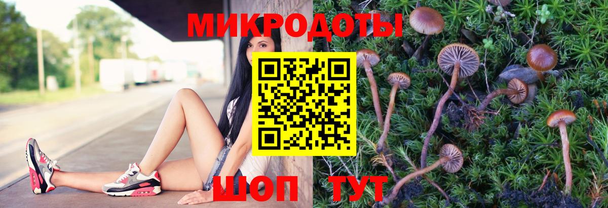 Галлюциногенные грибы Magic Shrooms  Вход с VPN  Кропоткин  Псилоцибиновые грибы MAGIC MUSHROOMS 